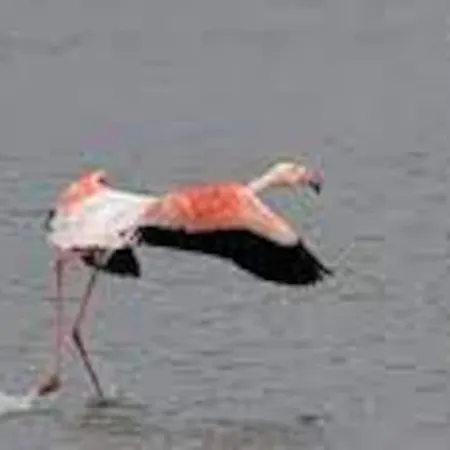 Gaia With Garden בית נופש *