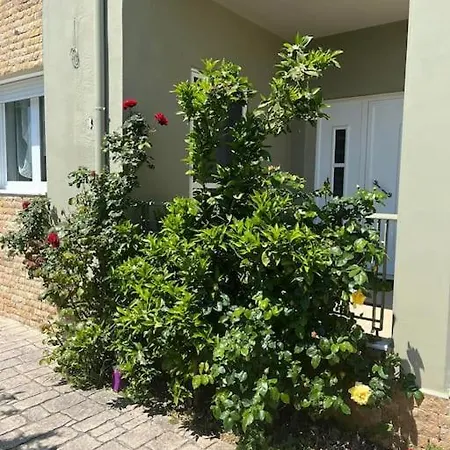 Gaia With Garden * אפאנומי