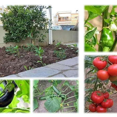 Gaia With Garden *