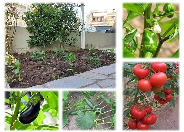 Gaia With Garden *